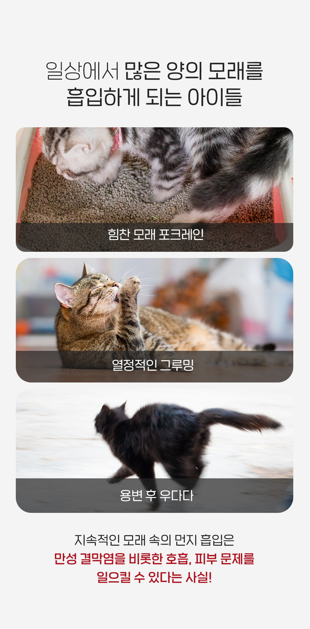 Health Check pH Color-Change Cassava Cat Litter detail 21