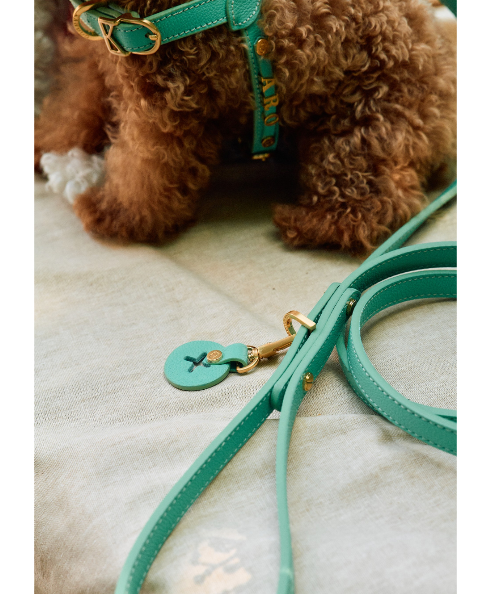 Trevi Leash detail 15