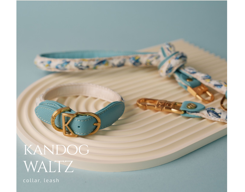 KANDOG Waltz Collar detail 1